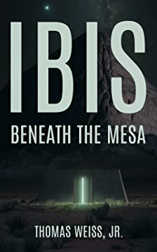 Ibis Beneath The Mesa